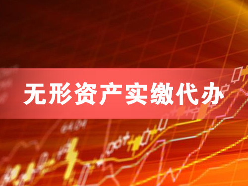 当阳无形资产实缴资本代办